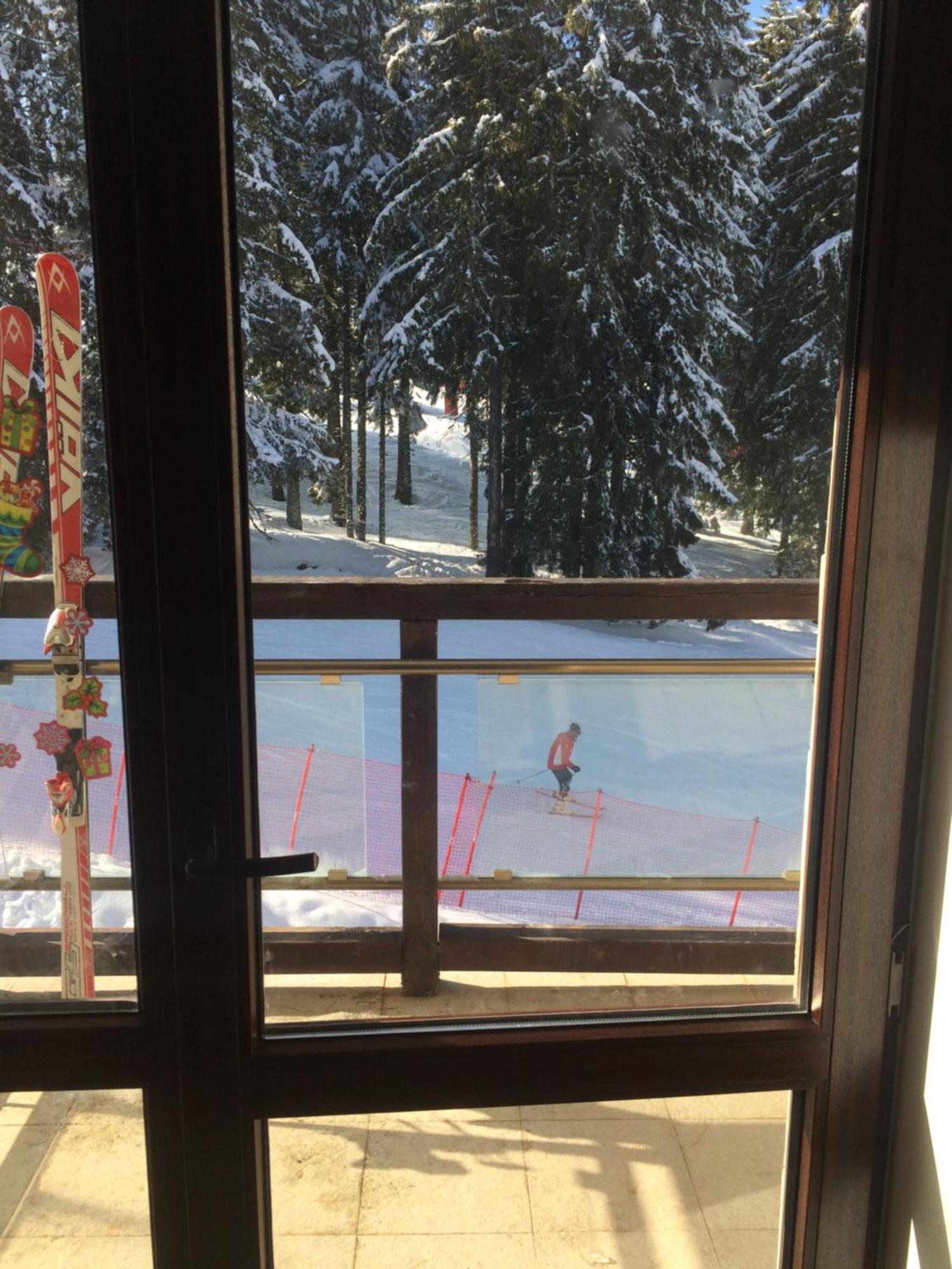 Stenata Huge To Door * Pamporovo